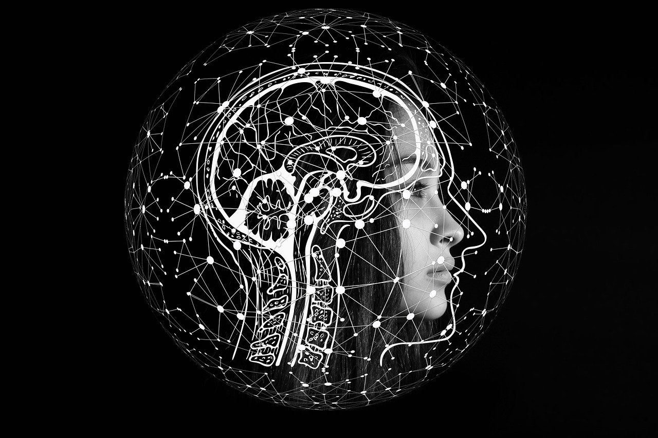 intelligence artificielle : ce qui change en 2025 pour les entreprises et les particuliers