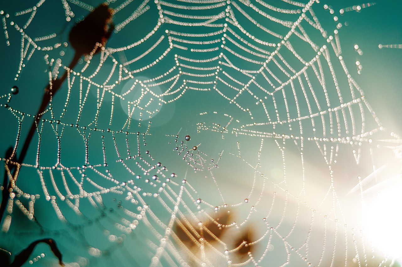Quels sont les frameworks web incontournables en 2025 ?